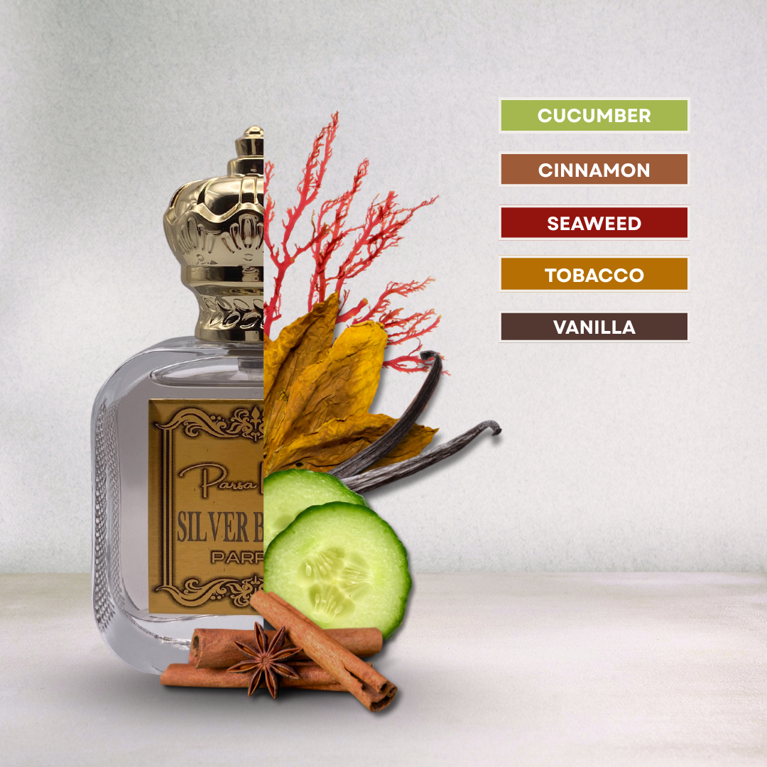 Luxury fragrance with seaweed, cinnamon, vanilla – bold & magnetic